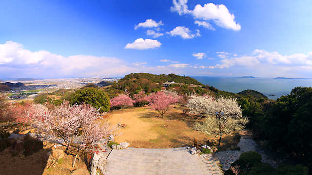 世界の梅公園から見る播磨平野と瀬戸内海の風景