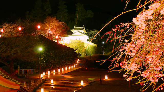 出石城と桜のライトアップ