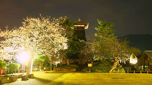 辰鼓楼と桜のライトアップ