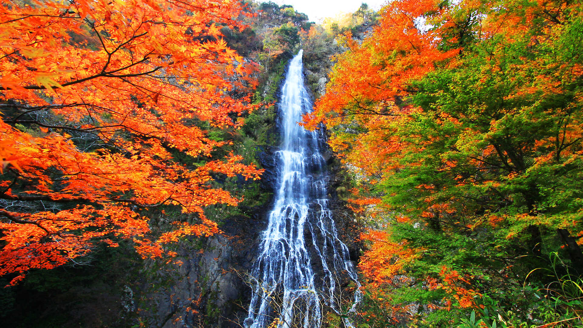 天滝もみじ祭と天滝渓谷の紅葉