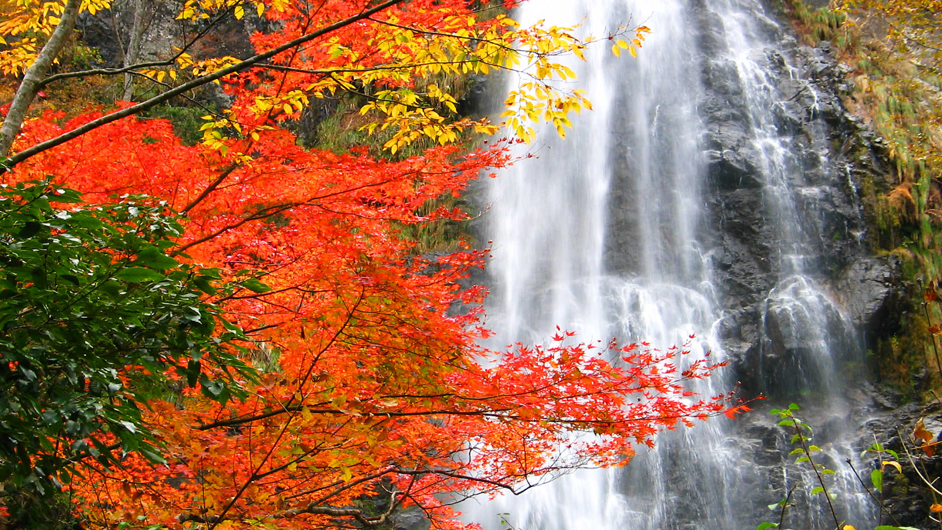 天滝もみじ祭と天滝渓谷の紅葉