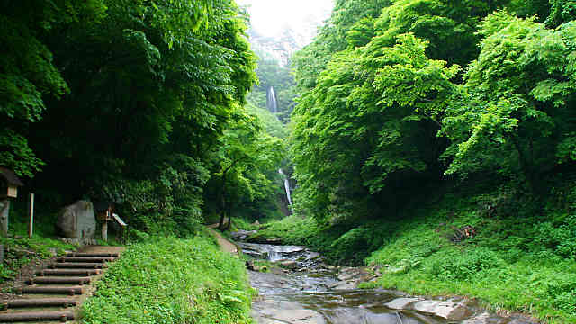 香美町 猿尾滝